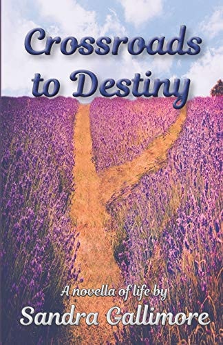 Crossroads to Destiny A Novella of Life