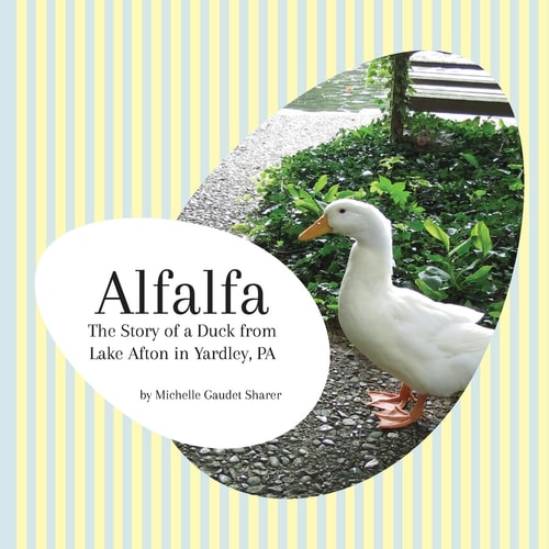 Alfalfa The Story of a Duck from Lake Afton in Yardley, PA