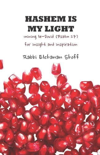 Hashem Is My Light Mining Le-Dovid (Psalm 27) for Insight and Inspiration