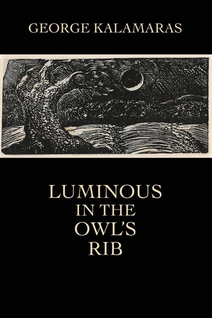 Luminous in the Owls Rib