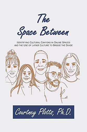 The Space Between Identifying Cultural Canyons in Online Spaces and the Use of LatinX Culture to Bridge the Divide