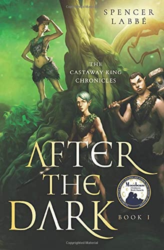 The Castaway King Chronicles After The Dark Book 1