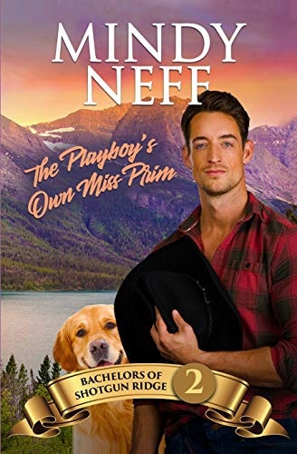 The Playboy's Own Miss Prim Small Town Contemporary Romance