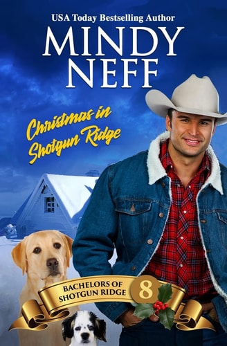 Christmas in Shotgun Ridge Small Town Holiday Romance