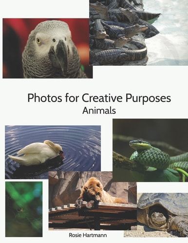 Photos For Creative Purposes Animals