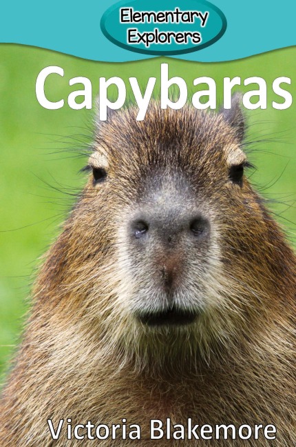 Capybaras