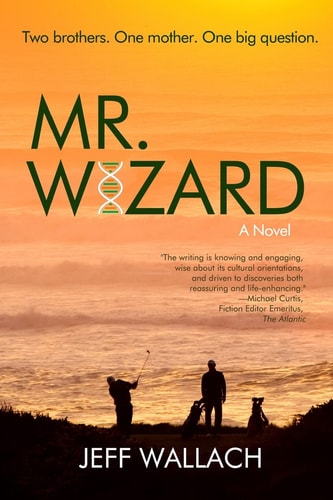 Mr. Wizard A Novel
