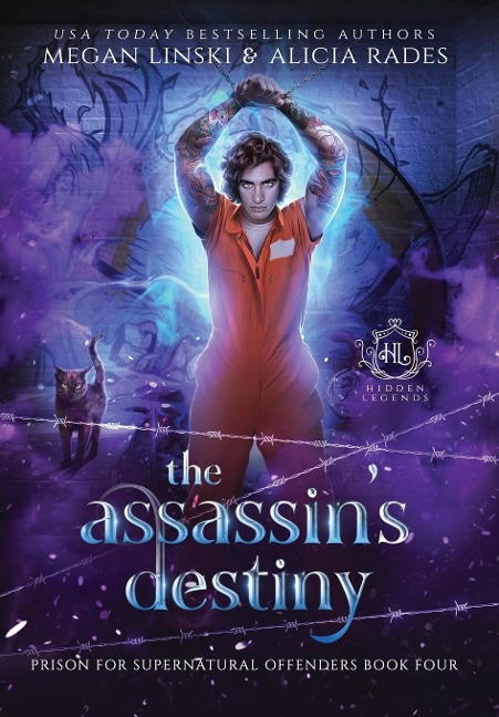 The Assassins Destiny