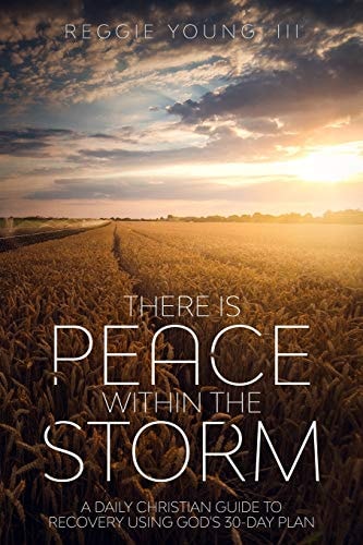 There Is Peace Within The Storm A Daily Christian Guide to Recovery Using God's 30-Day Plan