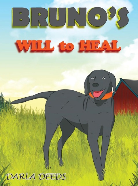 Brunos Will to Heal