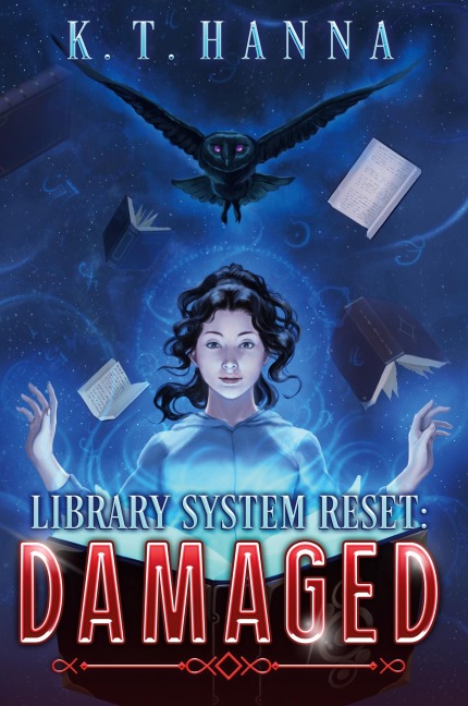 Library System Reset: Damaged