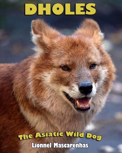Dholes The Asiatic Wild Dog