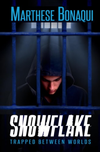 Snowflake Trapped Between Worlds