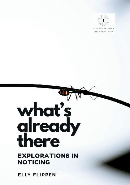 Whats Already There: Explorations in Noticing