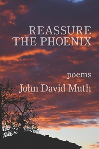 Reassure the Phoenix