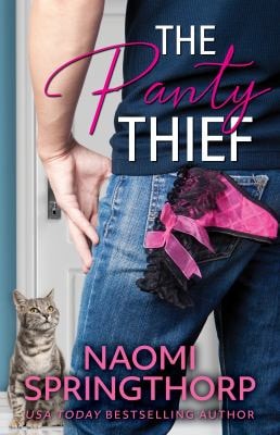 The Panty Thief