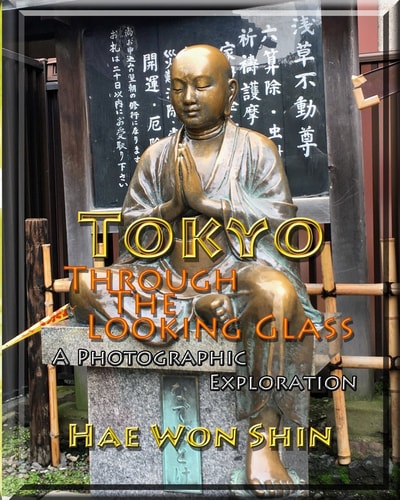 Tokyo Through the Looking Glass A Photographic Exploration