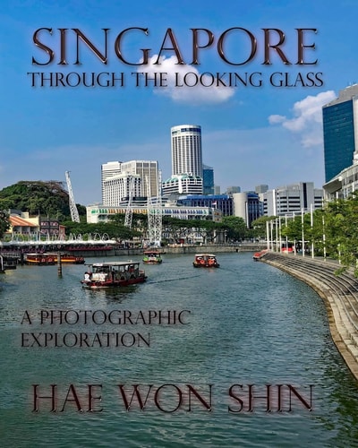 Singapore Through the Looking Glass A Photographic Exploration
