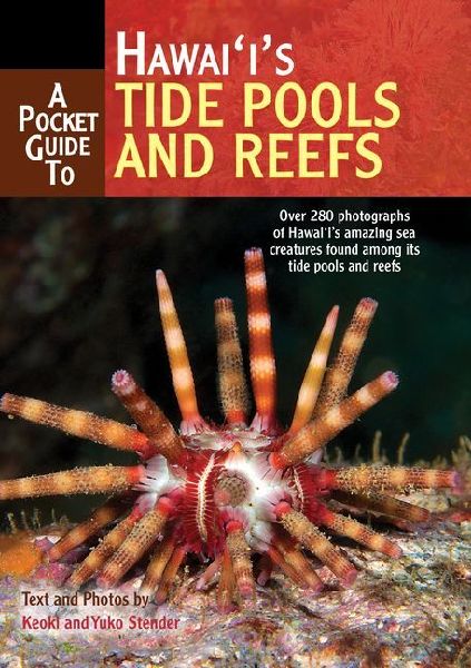 A Pocket Guide to Hawaiis Tide Pools and Reefs