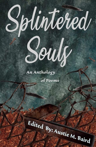 Splintered Souls An Anthology of Poetry
