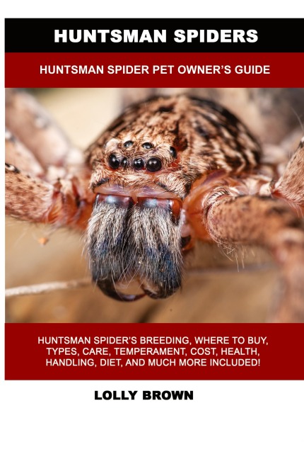 Huntsman Spiders: Huntsman Spider Pet Owners Guide
