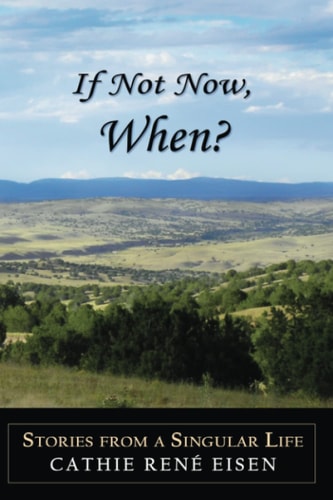 If Not Now, When? Stories from a Singular Life