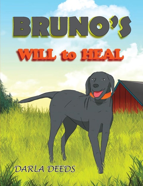 Brunos Will to Heal