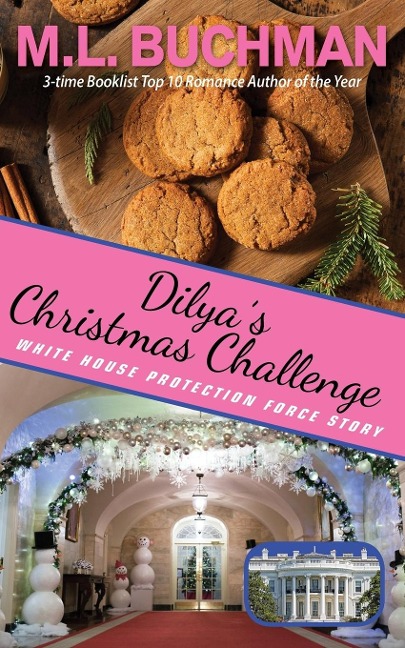 Dilyas Christmas Challenge: a White House Protection Force story