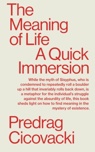 The Meaning of Life A Quick Immersion