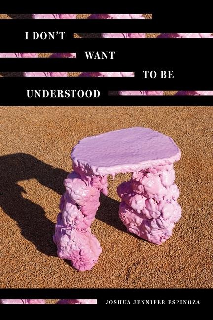 I Dont Want to Be Understood