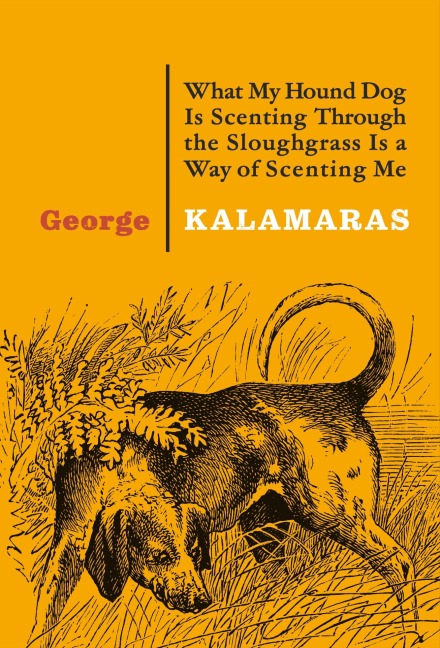 What My Hound Dog Is Scenting Through the Sloughgrass Is a Way of Scenting Me