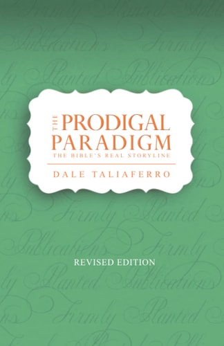 The Prodigal Paradigm The Real Storyline of the Bible