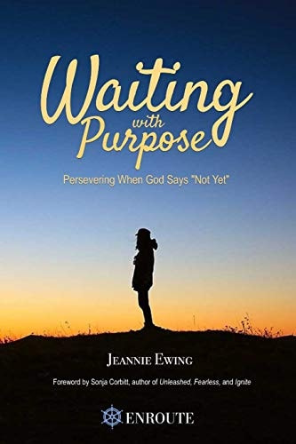 Waiting with Purpose Persevering When God Says 'Not Yet'