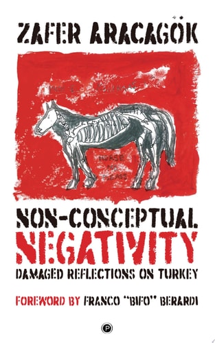 Non-Conceptual Negativity Damaged Reflections on Turkey