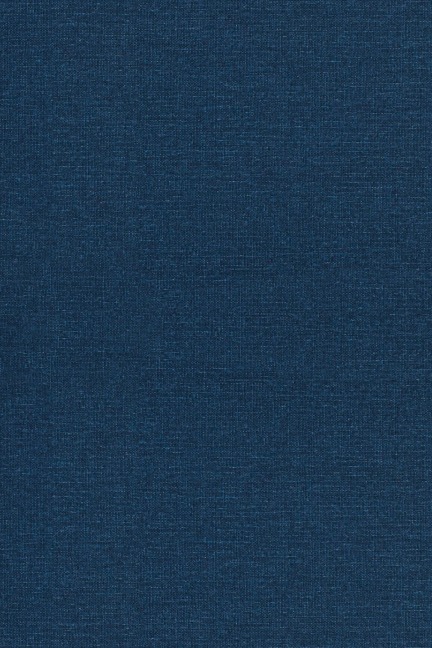 The Principles of Quantum Mechanics