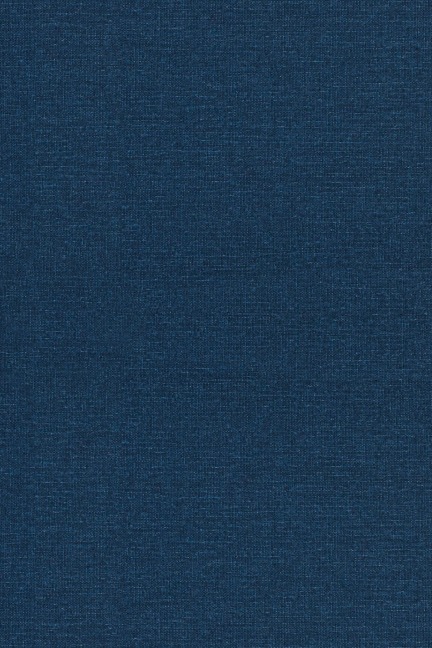 The Principles of Quantum Mechanics