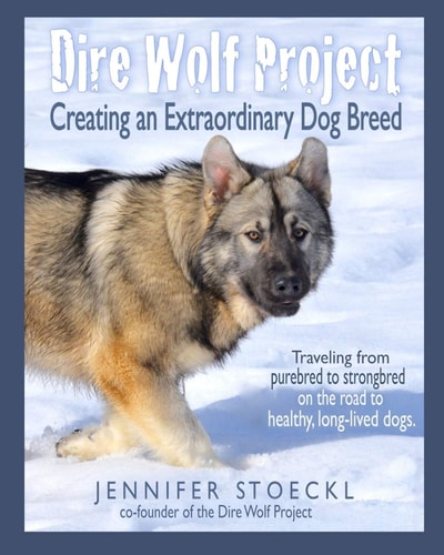Dire Wolf Project Creating an Extraordinary Dog Breed