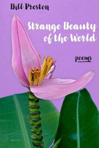 Strange Beauty of the World Poems