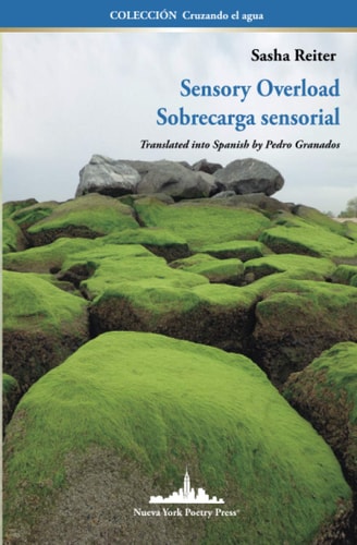 Sensory Overload Sobrecarga Sensorial (Bilingual Edition)