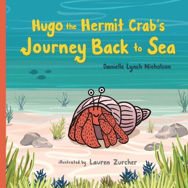Hugo the Hermit Crabs Journey Back to Sea