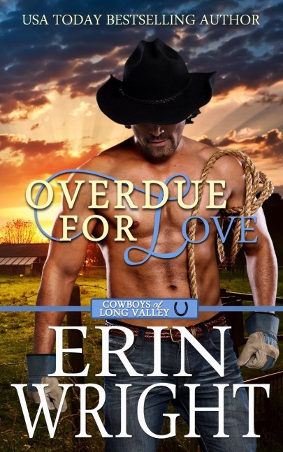 Overdue for Love: A Secret Baby Western Romance