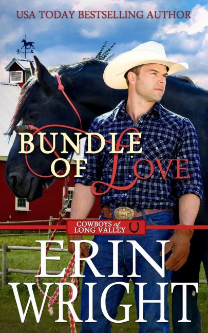 Bundle of Love: An Office Contemporary Western Romance