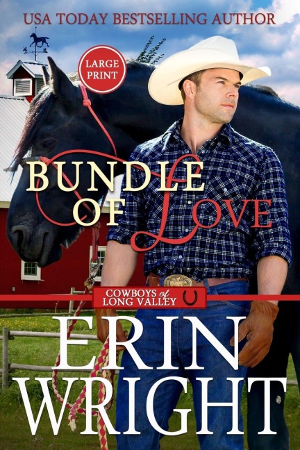 Bundle of Love: An Office Contemporary Western Romance (Large Print)