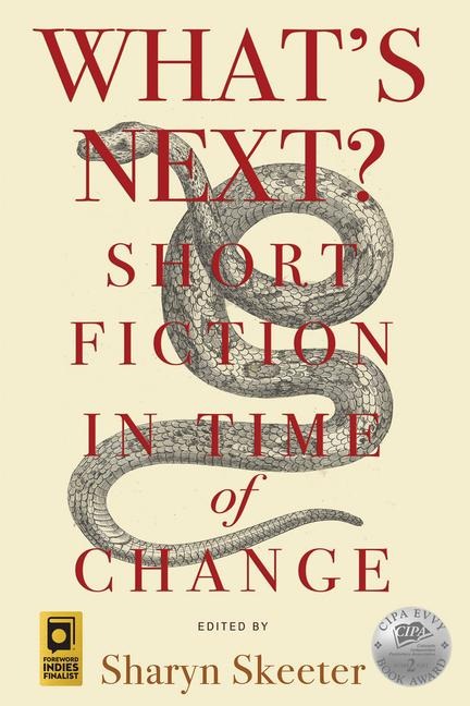 Whats Next? Short Fiction in Time of Change