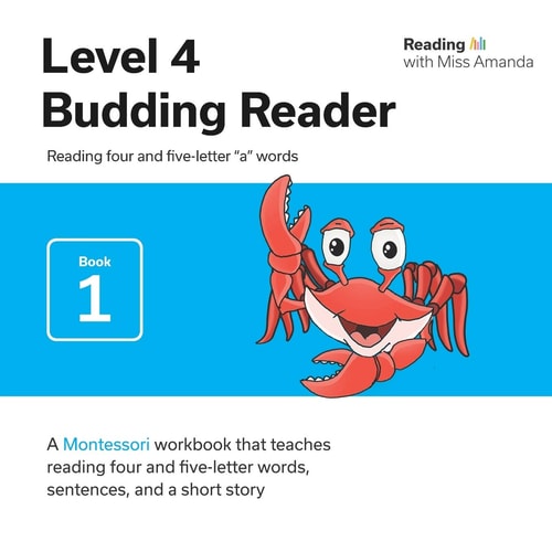 Reading with Miss Amanda Level 4 Budding Reader: Reading Four and Five-Letter a Words
