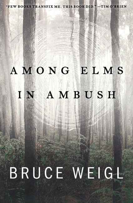 Among Elms, in Ambush