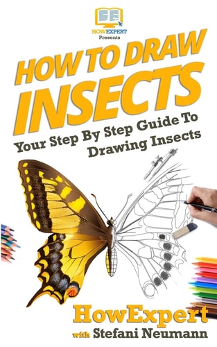 How To Draw Insects Your Step By Step Guide To Drawing Insects