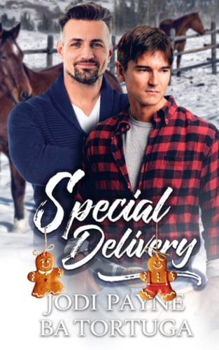 Special Delivery A Wrecked Holiday Novel