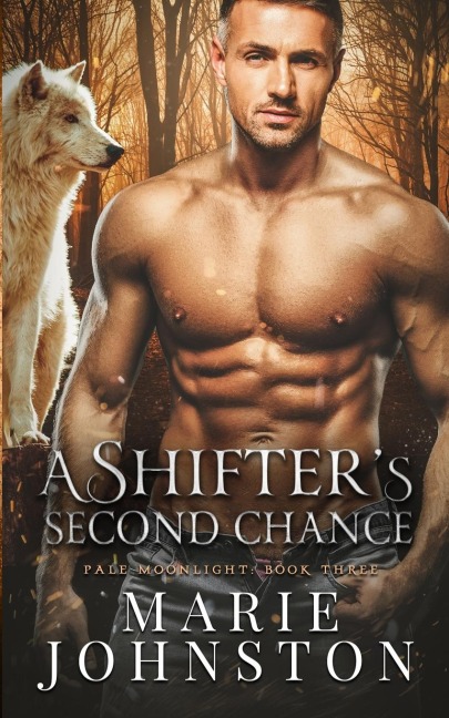 A Shifters Second Chance