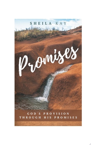 Promises God's Provision through His Promises